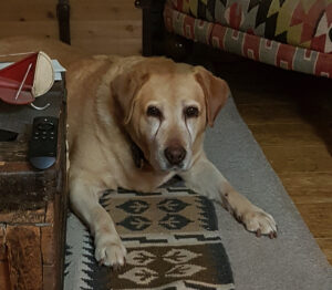 Cara was our mascot and an inspiration. She will always be remembered.